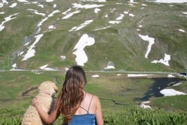 Bỏ việc để đi du lịch cùng... cún cưng