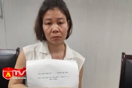 Công an huyện Mỹ Đức bắt giữ đối tượng vận chuyển 2 bánh Heroin