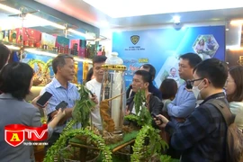 Nhận diện đúng sâm Ngọc Linh trên thị trường