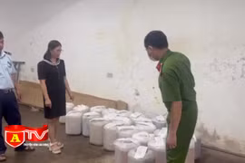 Thu giữ gần 500 lít rượu ngâm không rõ nguồn gốc cất giấu trong nhà hàng