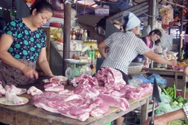 Thực phẩm trong vòng vây chất độc hại