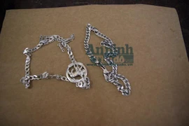 Bắt hai tên cướp chuyên giật dây chuyền của trẻ em