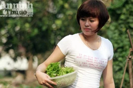 Những vuông rau xanh của ngõ nhỏ, phố nhỏ Hà Nội