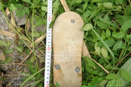 Cuộc truy xét nhóm côn đồ đánh chết người