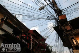 "Cây đa tỷ rễ" trên phố Đê La Thành