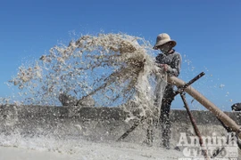 "Đánh bắt" cát ở đảo Lý Sơn