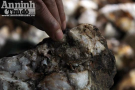 Đổ xô đi đào đá nghiền đãi sau khi có người nhặt được cả cục vàng