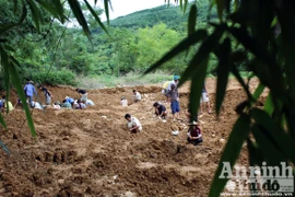 Thâm nhập nơi đua nhau đập đá để tìm vàng