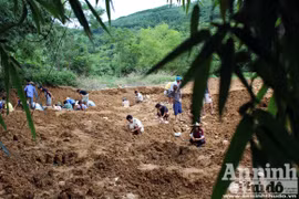Thâm nhập nơi đua nhau đập đá để tìm vàng