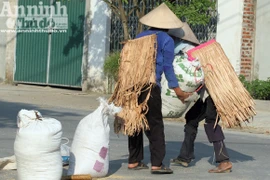 Nắng cháy, nông dân mặc "áo giáp” ra đồng