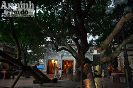 Sức mạnh của vị “thần” cây xanh