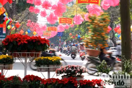 Hà Nội sáng bừng trong xuân mới