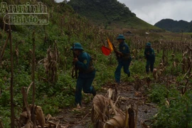 Diễn tập chiến đấu trị an 2 xã Hang Kia - Pà Cò