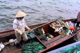 Cá ngửa bụng hàng tạ trên mặt hồ Tây bốc mùi xú uế