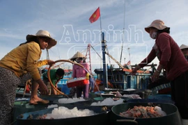 Trở lại nơi siêu bão không đi qua!