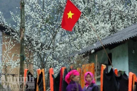 Trải nghiệm cung bậc mùa xuân vùng đá núi