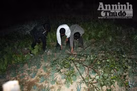 Ám ảnh chuyện ma cà rồng rình rập hút máu người