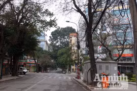 Tiếng chim thánh thót, nhẹ bước du xuân trong phố cổ Hà Nội