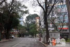 Tiếng chim thánh thót, nhẹ bước du xuân trong phố cổ Hà Nội