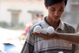 Tận mắt chứng kiến “thủ phạm” xuyên thủng hàng nghìn mái nhà