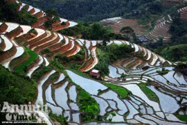 “Kỹ nghệ” đưa nước về núi của những “nhà điêu khắc” vùng cao