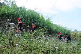 Khúc du xuân ở ven thảo nguyên Mộc Châu