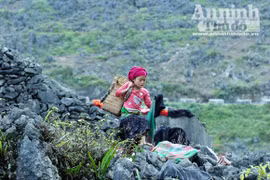 Những đôi tay bé bỏng gọi nhịp xuân bên đèo Mã Pì Lèng