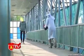 Cảnh báo tình trạng đưa thông tin sai sự thật trên các trang mạng xã hội