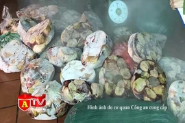 Đột kích kho nội tạng "3 không" chờ bán Tết ở Phú Xuyên