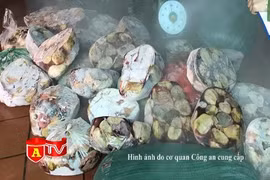 Đột kích kho nội tạng "3 không" chờ bán Tết ở Phú Xuyên