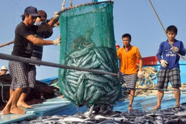 Nhiều giải pháp hỗ trợ ngư dân sau sự cố môi trường do Formosa gây ra