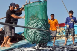 Nhiều giải pháp hỗ trợ ngư dân sau sự cố môi trường do Formosa gây ra