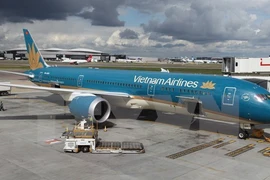 Chim va vào động cơ Dreamliner của Vietnam Airlines 