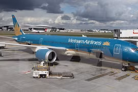 Chim va vào động cơ Dreamliner của Vietnam Airlines 