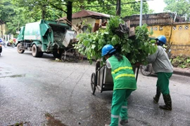 Hơn 600 cây xanh ở nội thành Hà Nội bị gãy, đổ do bão số 1