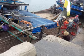 Ngư dân mong ngóng từng ngày