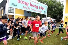 Khởi động Giải chạy Sông Hồng 2015 – Chạy vì tê giác