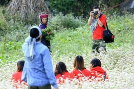 Tan nát những cánh đồng hoa