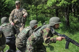 Mỹ bắt đầu huấn luyện quân đội chính quy Ukraine