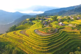 Hoàng Su Phì mùa lúa chín 