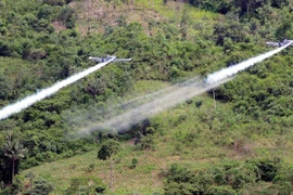 Nhiều rủi ro khi Colombia muốn phun hóa chất để ngăn chặn cocaine 