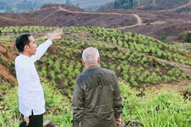 Sóng ngầm của thị trường nhà đất quanh vùng thủ đô mới của Indonesia 