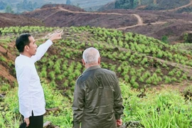 Sóng ngầm của thị trường nhà đất quanh vùng thủ đô mới của Indonesia 