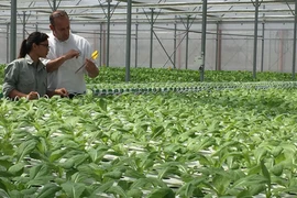 Tín hiệu tích cực trước "ma trận" thực phẩm bẩn