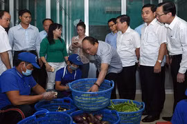 Hiểu chính sách, nhưng thực tiễn cũng phải tỏ tường