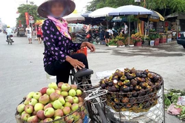 Táo đá Trung Quốc đội lốt táo Hà Giang