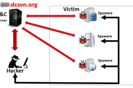 Mã độc tấn công Vietnam Airlines xuất hiện tại nhiều cơ quan, doanh nghiệp khác