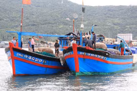 Tàu Trung Quốc đâm chìm tàu cá của ngư dân Việt Nam là hành động vô nhân đạo