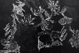 Họa sỹ Lê Văn Thìn và Trần Ngọc Hưng cùng "Yêu"