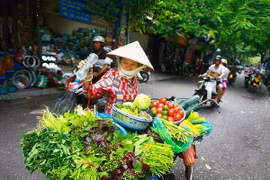 Em muốn học người Hà Nội lắm chứ!